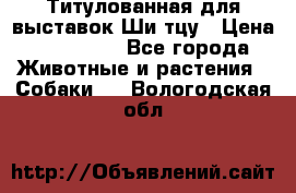 Титулованная для выставок Ши-тцу › Цена ­ 100 000 - Все города Животные и растения » Собаки   . Вологодская обл.